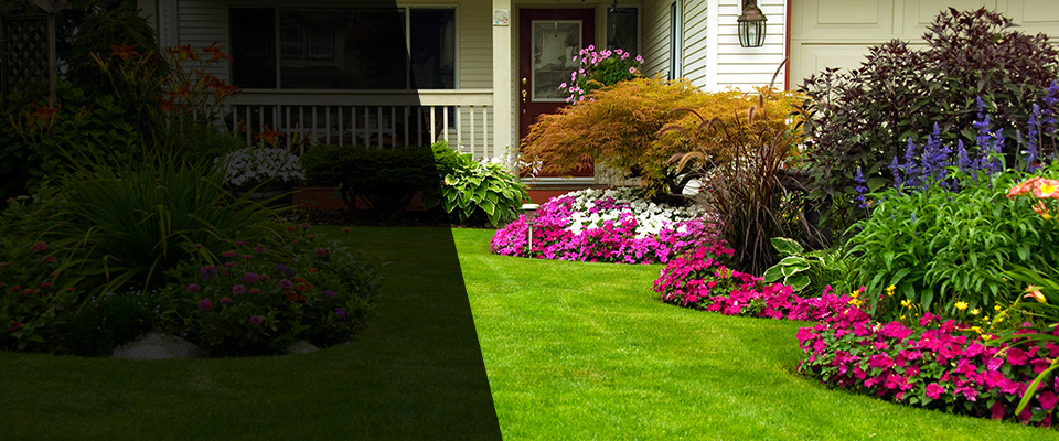 Bloomer Landscapers