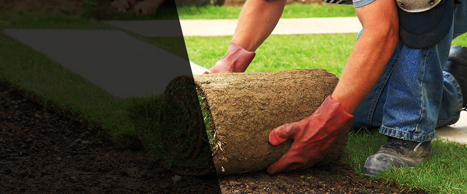 Bloomer Landscapers
